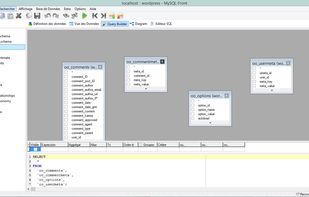 MySQL-Front screenshot 1