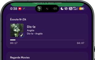 N-Zik screenshot 1