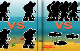 Compete with other players or Play Co-op against the fish!