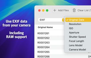 Name Changer screenshot 1