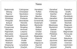 Name Generator screenshot 1