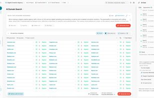 AI Domain Saarch