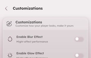 Customization Settings