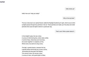 nanochat screenshot 1