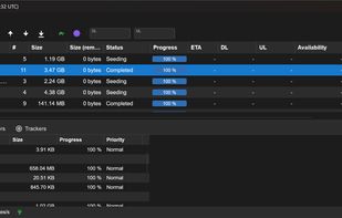NanoTorrent screenshot 2