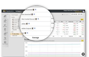 NapoleonCat screenshot 3