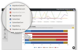 NapoleonCat screenshot 2