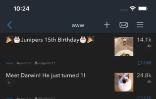 narwhal screenshot 1