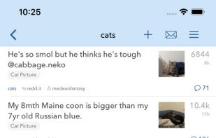 narwhal screenshot 1