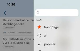 narwhal screenshot 2