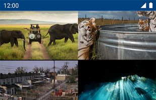 National Geographic for Muzei screenshot 1