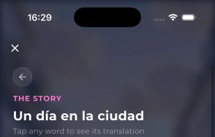 NativePal screenshot 2