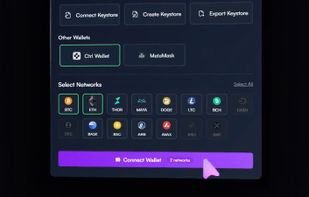 NativeSwap screenshot 2