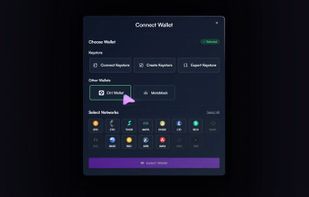 NativeSwap screenshot 1