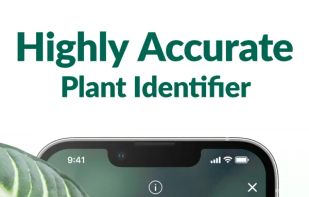 Plantum screenshot 1