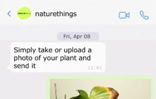 NatureThings screenshot 1