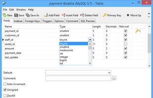 Navicat screenshot 1