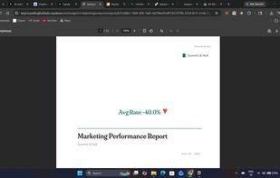 Sample branded PDF output with charts and executive summary
