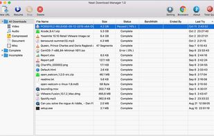 Neat Download Manager screenshot 1
