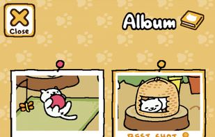 Neko Atsume screenshot 3