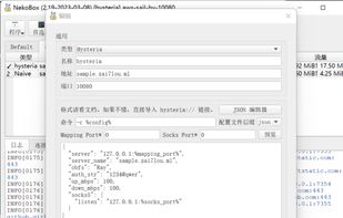 nekoray screenshot 1
