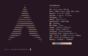 Neofetch screenshot 1