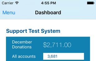 Neon CRM screenshot 1