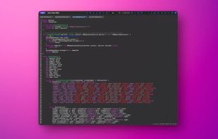 Neon Vision Editor screenshot 3
