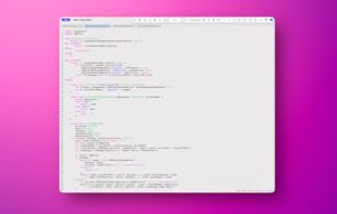 Neon Vision Editor screenshot 2