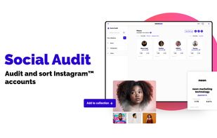 social audit to analyze and sort instagram influencer/accounts