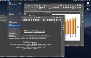 NeoOffice screenshot 3