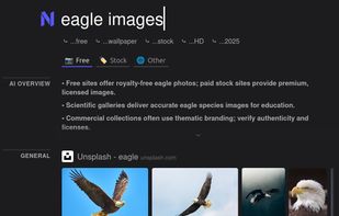 Example of result enhancement. Links to image sites get shown as a film roll.
