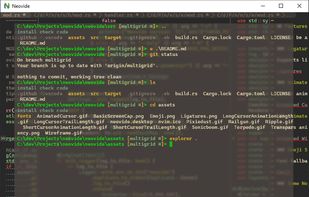 Neovide screenshot 2