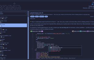 Neovim Store screenshot 2
