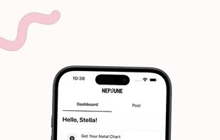 Nepjune screenshot 1