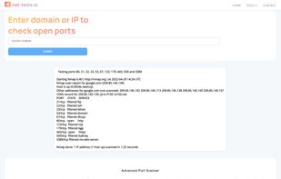 Net-Tools.io screenshot 3