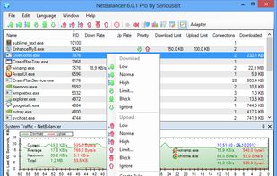 NetBalancer screenshot 1