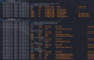 NetExec screenshot 3