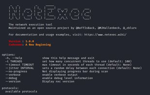 NetExec screenshot 1