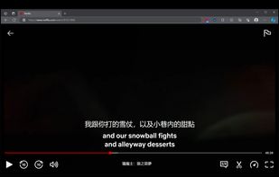 Netflix Bilingual Subtitles screenshot 2