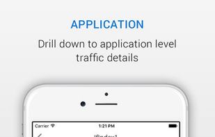 NetFlow Analyzer screenshot 3