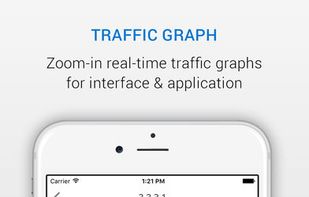 NetFlow Analyzer screenshot 2