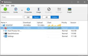 Main application window