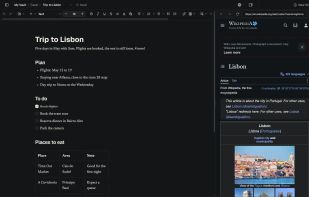 Open web pages in the built-in browser panel, right next to your shard.