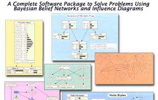 Netica Application screenshot 1