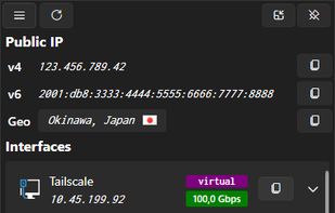 The NetIP network popup
