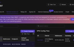 Netmaker screenshot 1