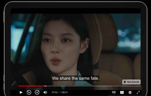 NetMirror screenshot 2