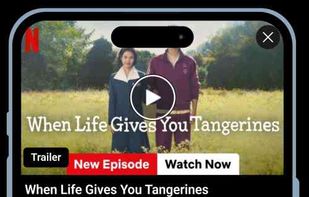 NetMirror screenshot 1