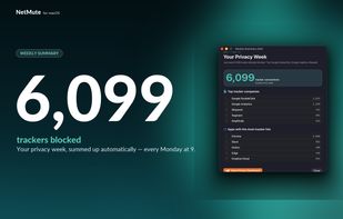 Netmute screenshot 3